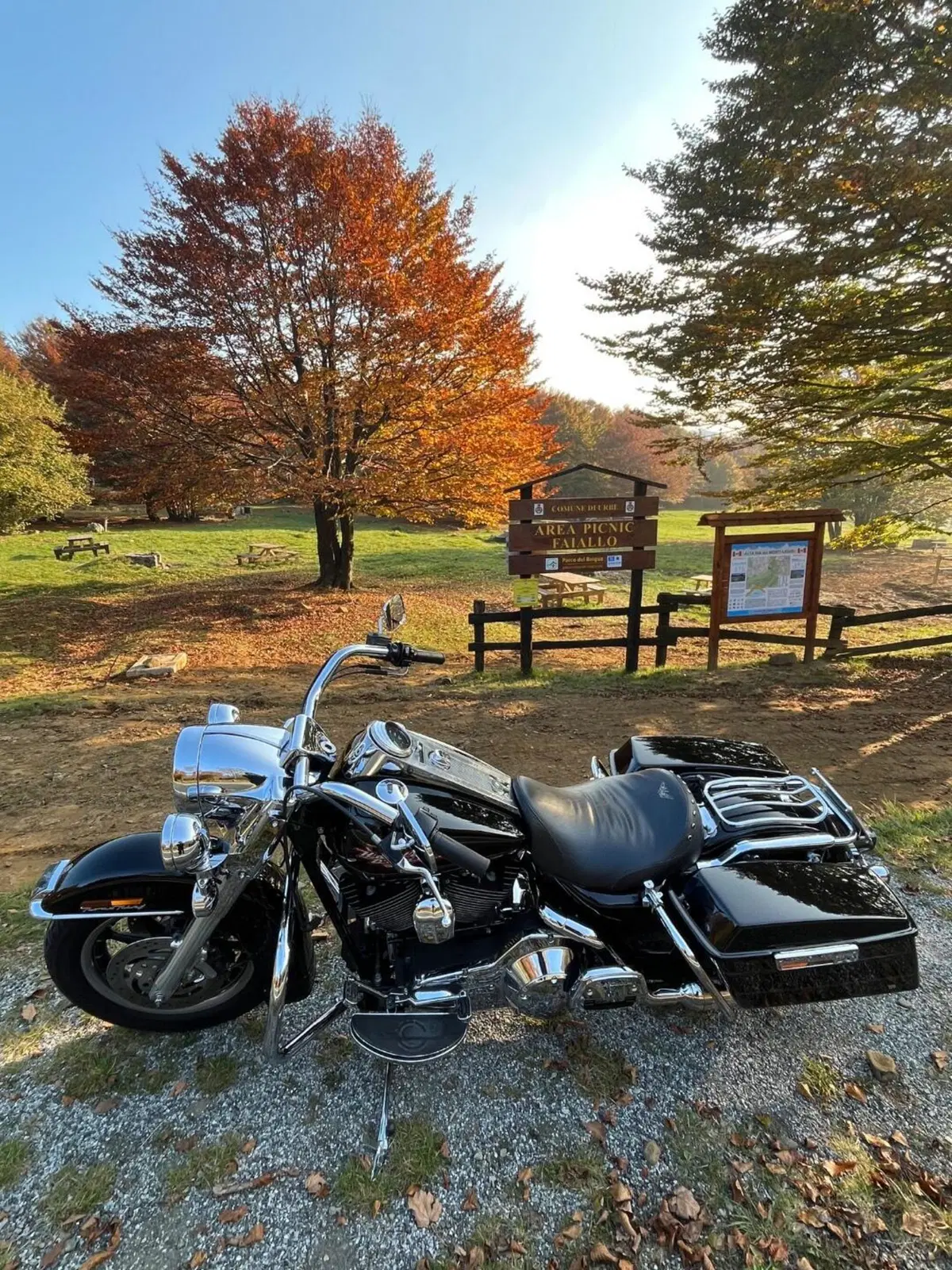 Harley-Davidson Road King (4)