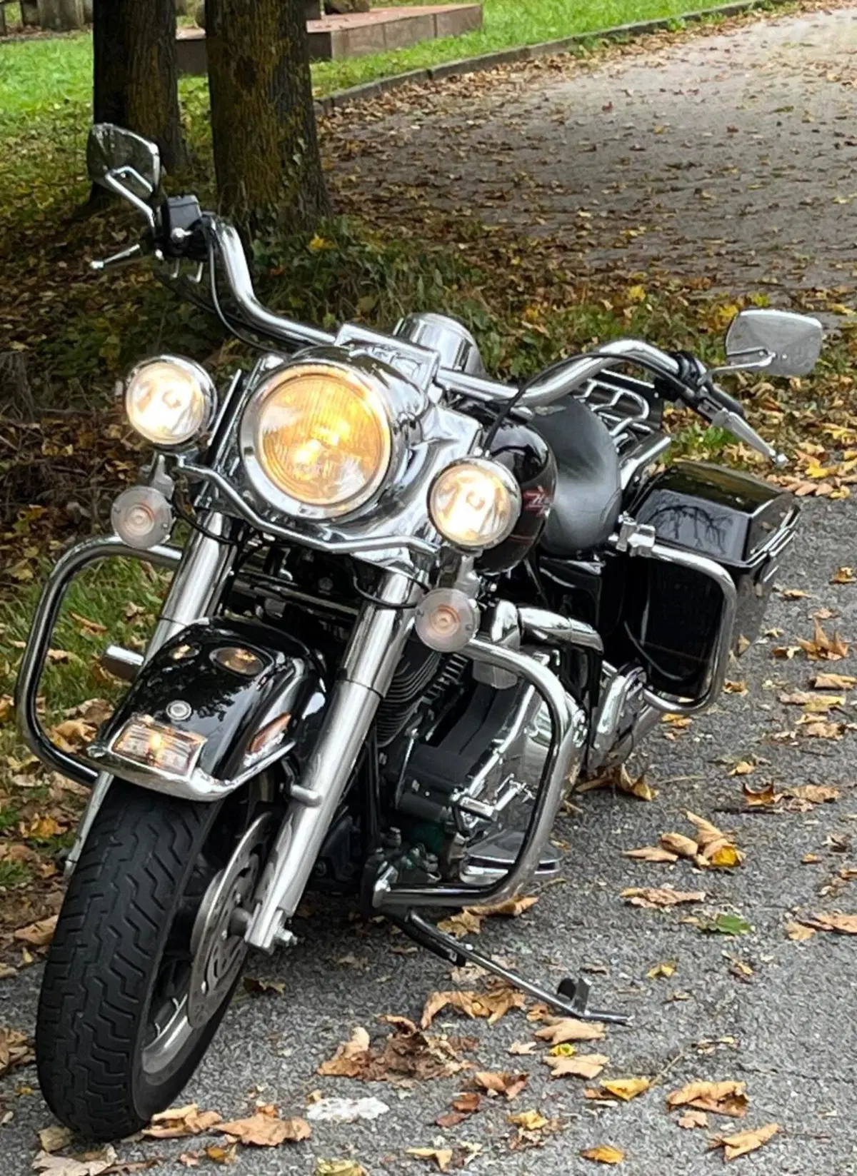 Harley-Davidson Road King (9)