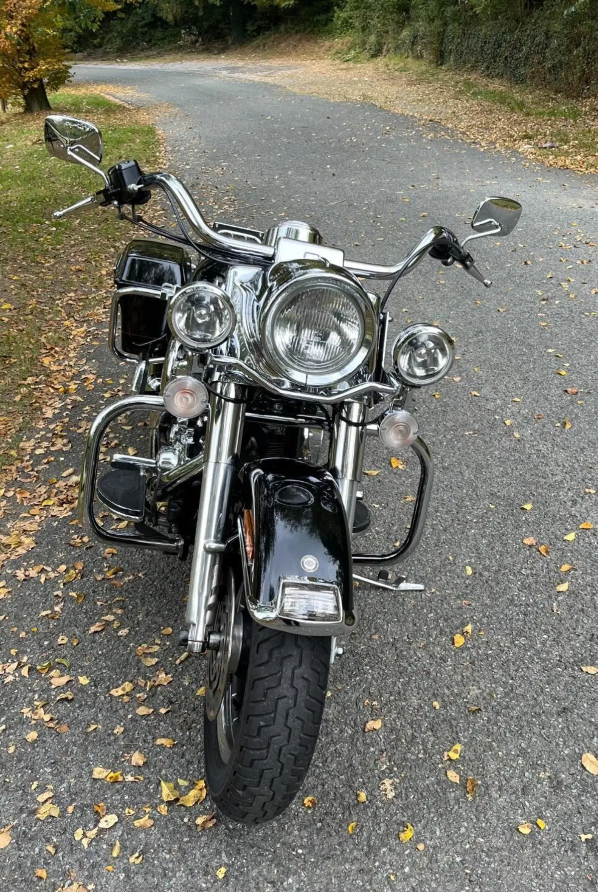 Harley-Davidson Road King (10)