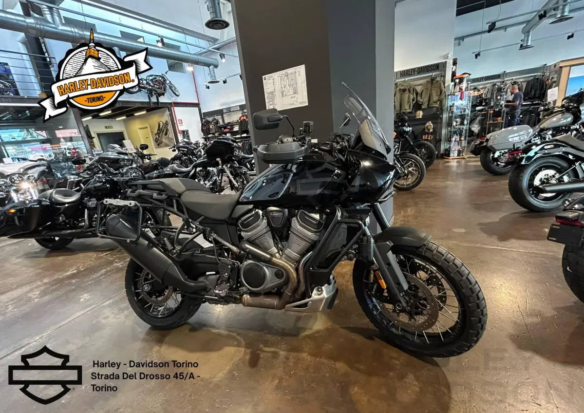 Harley-Davidson Pan America 1250 Special (2020 - 25)