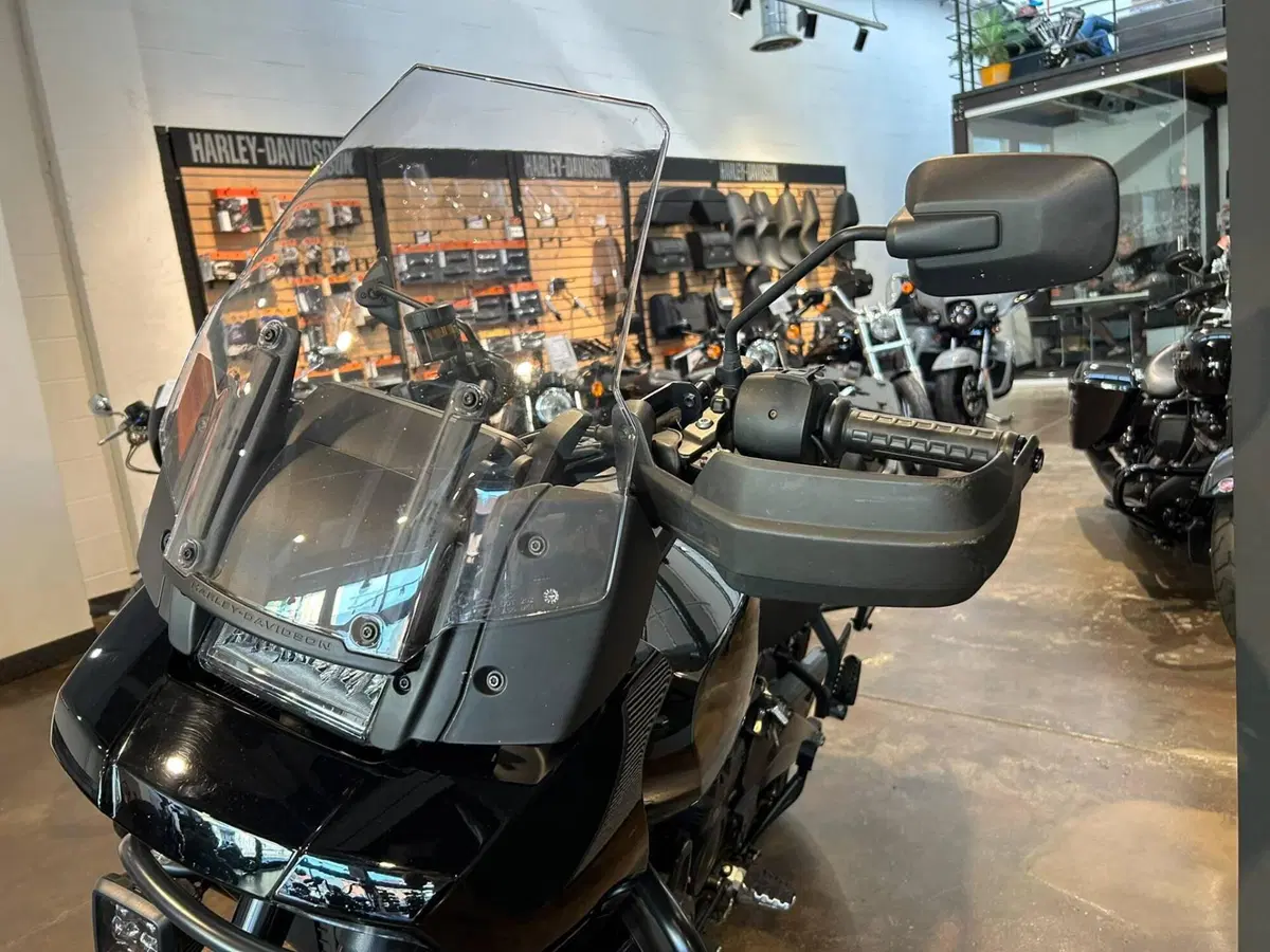 Harley-Davidson Pan America 1250 Special (2020 - 25) (3)