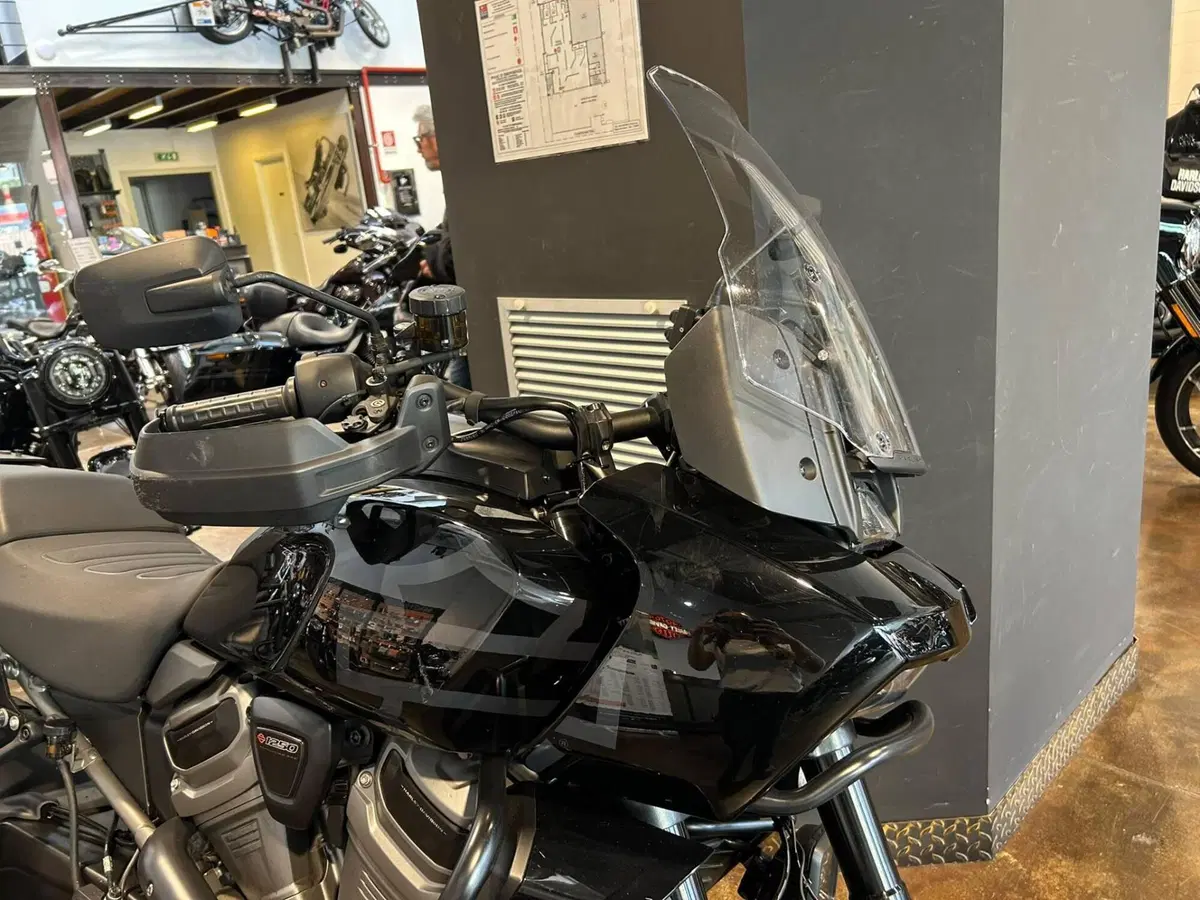 Harley-Davidson Pan America 1250 Special (2020 - 25) (6)