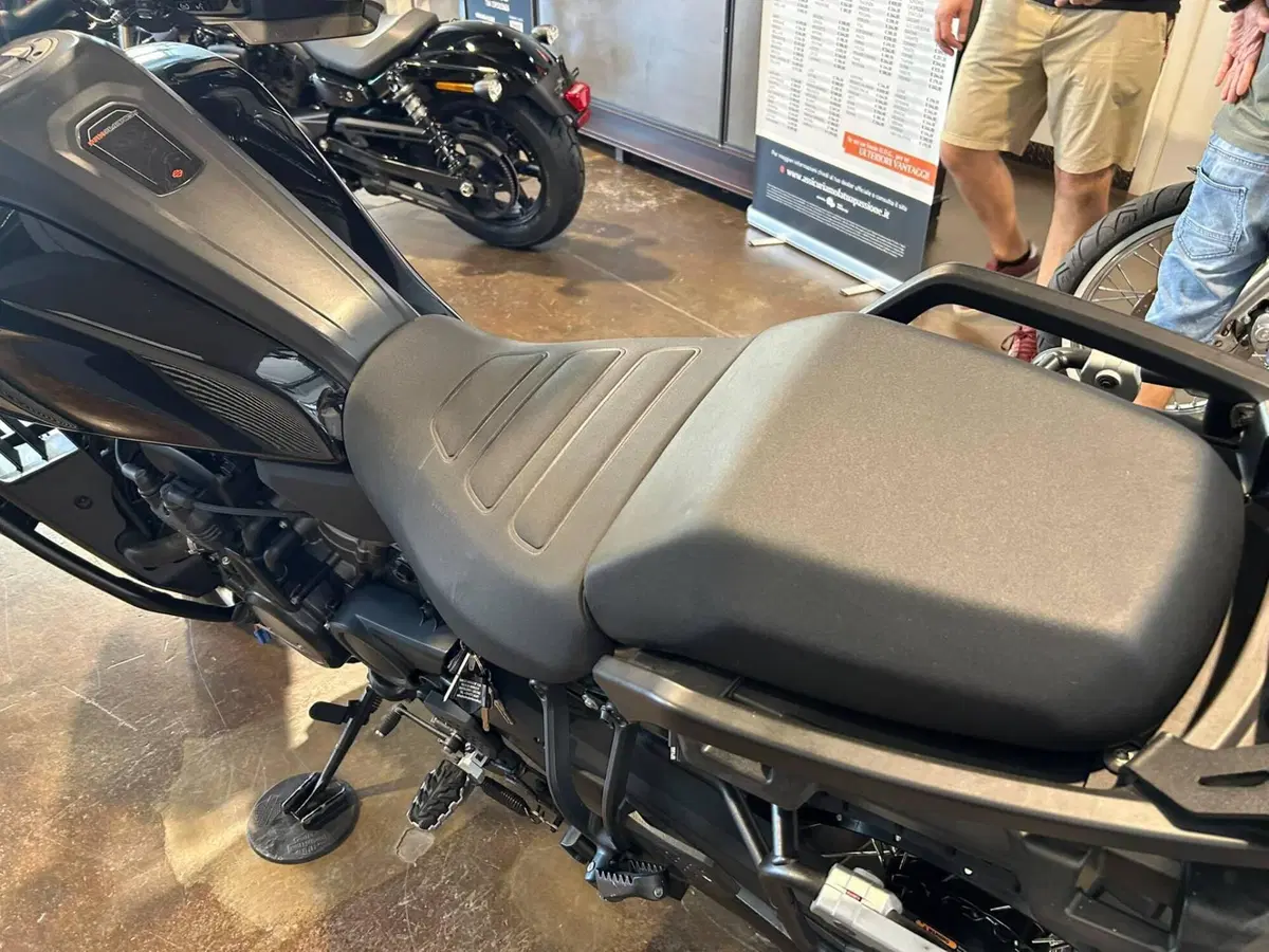 Harley-Davidson Pan America 1250 Special (2020 - 25) (8)