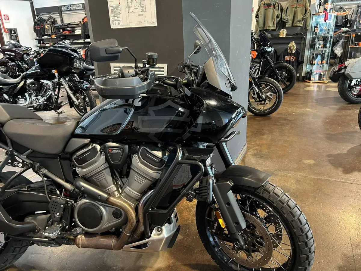 Harley-Davidson Pan America 1250 Special (2020 - 25) (11)