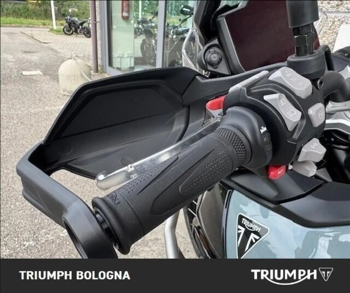 Triumph Tiger 900 Desert Special Edition (2026) (9)