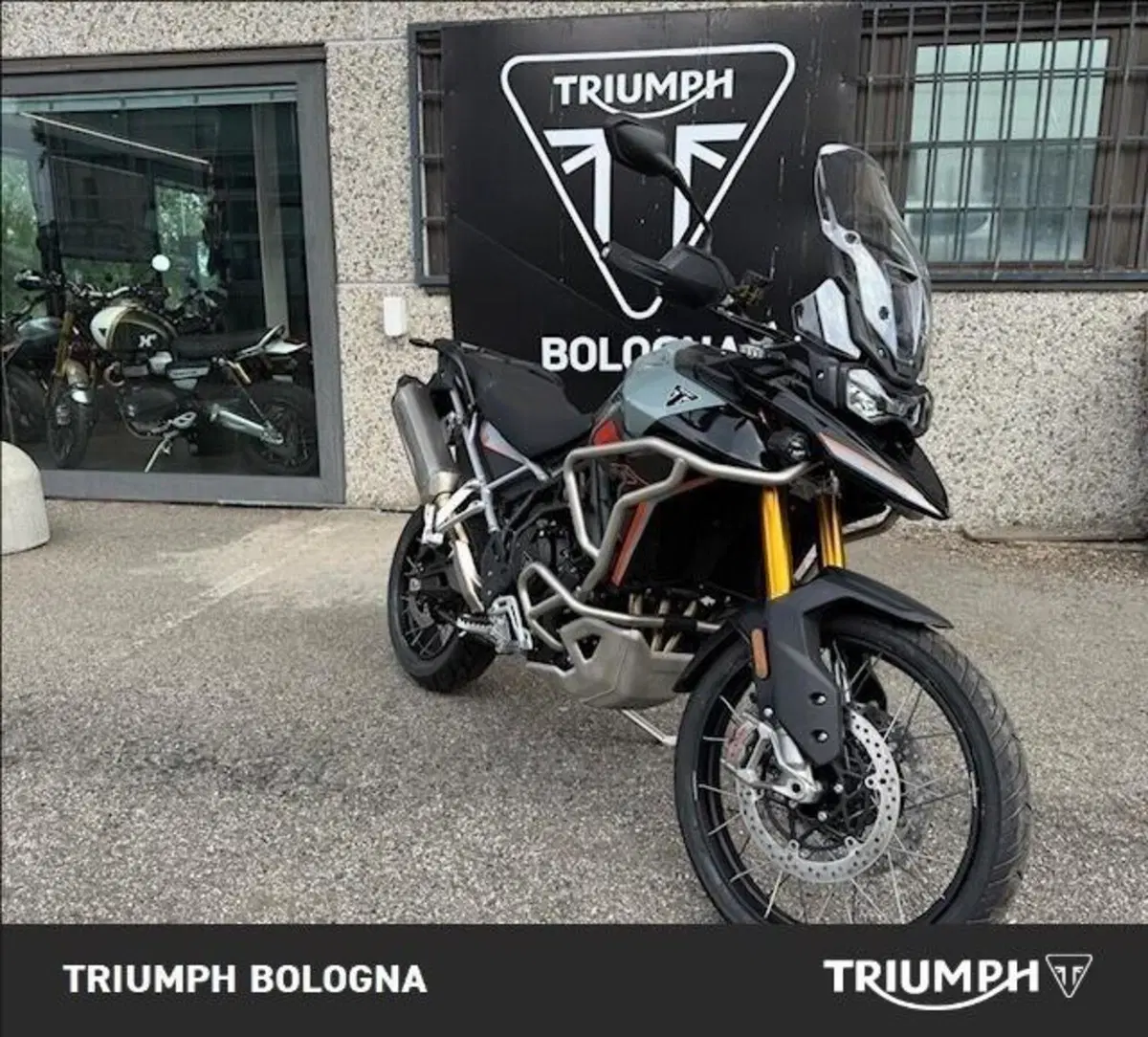 Triumph Tiger 900 Desert Special Edition (2026) (5)