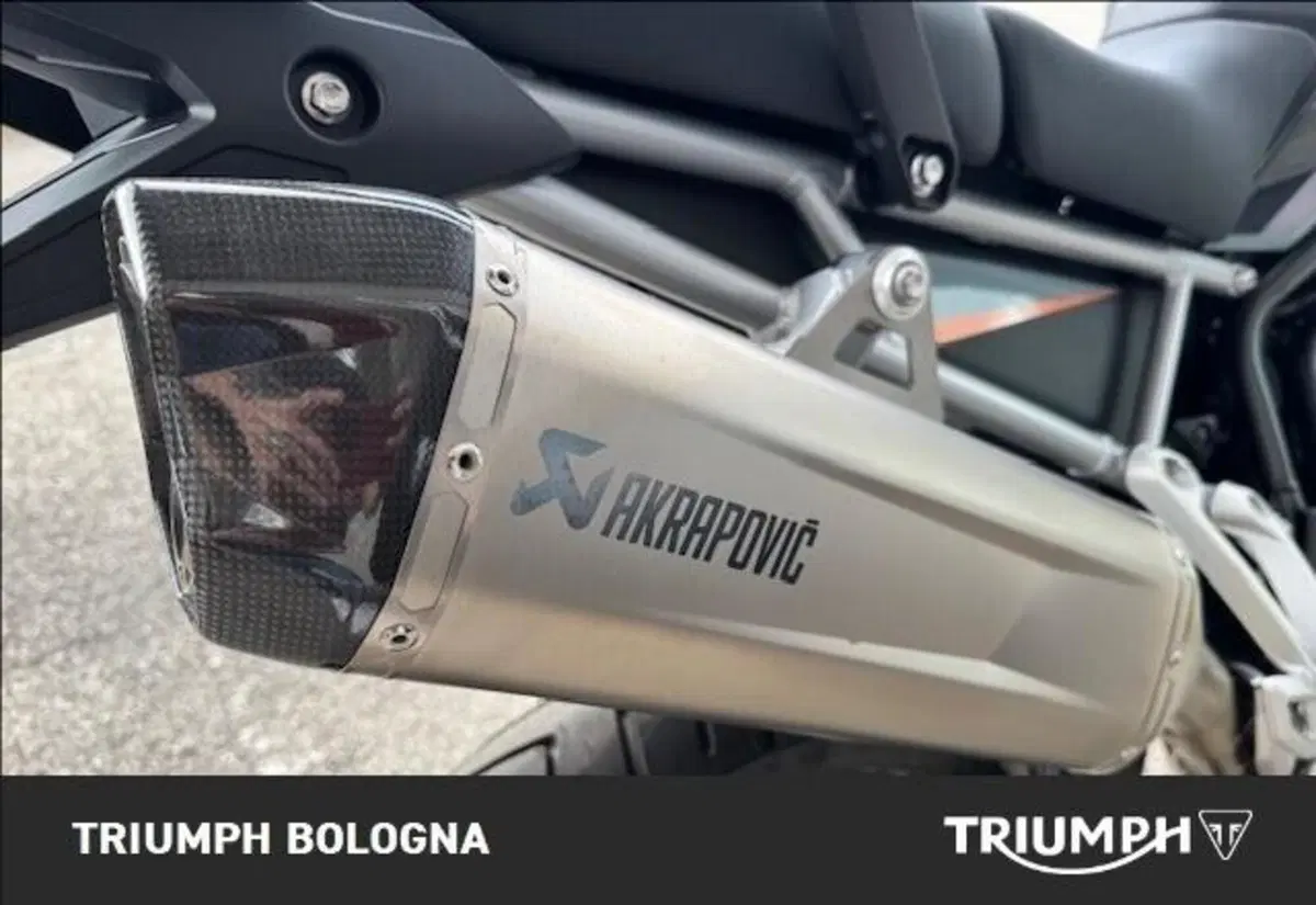 Triumph Tiger 900 Desert Special Edition (2026) (7)