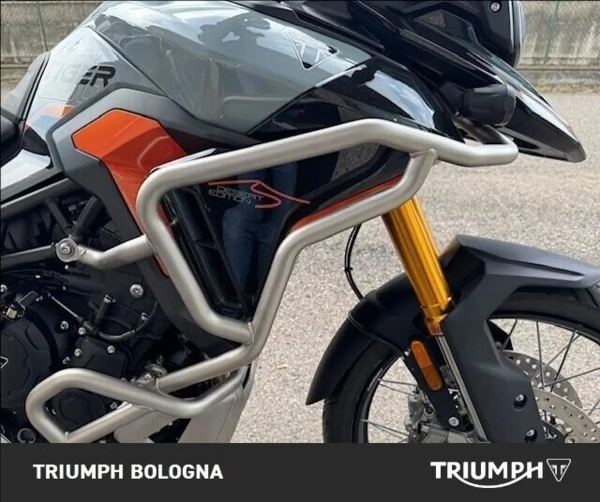 Triumph Tiger 900 Desert Special Edition (2026) (6)