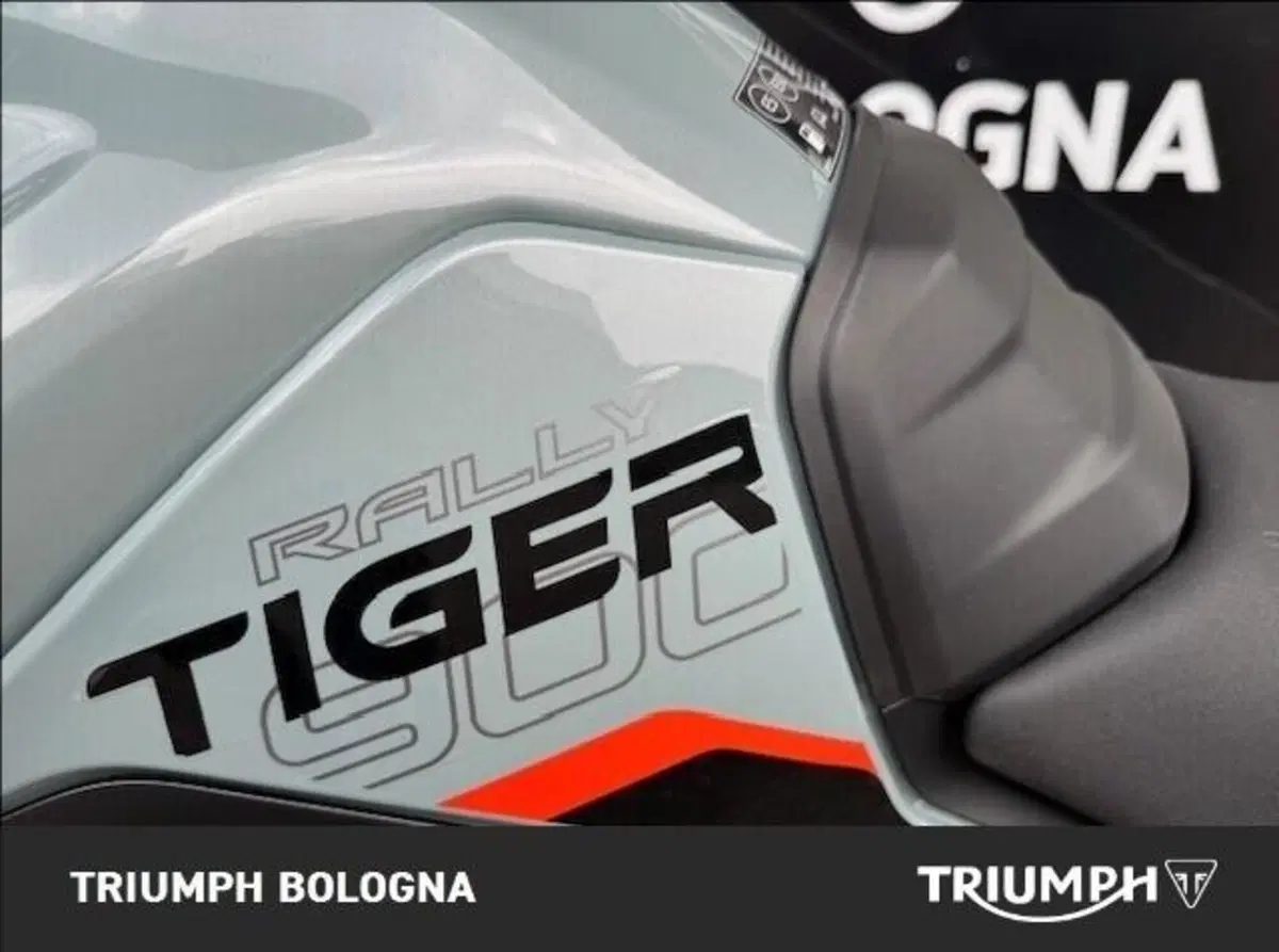 Triumph Tiger 900 Desert Special Edition (2026) (11)