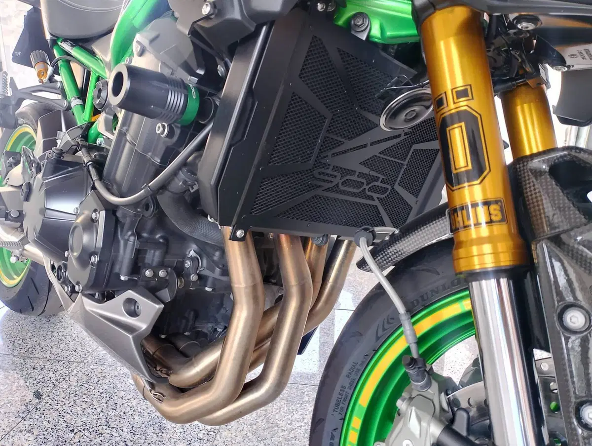 Kawasaki Z 900 SE (2025 - 26) (8)