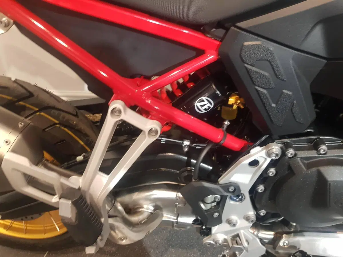 Bmw F 900 GS (2024 - 26) (3)