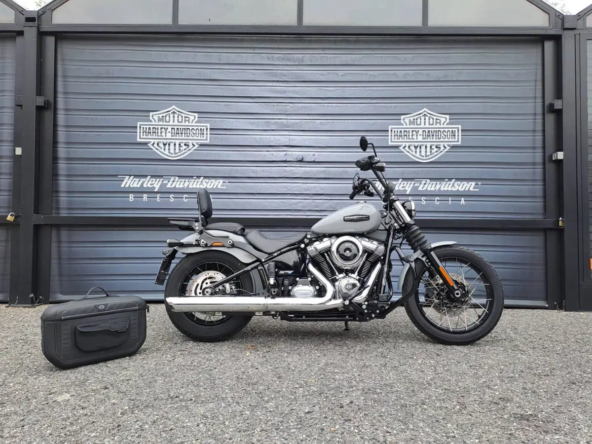 Harley-Davidson Street Bob 117 (2025 - 26) (4)