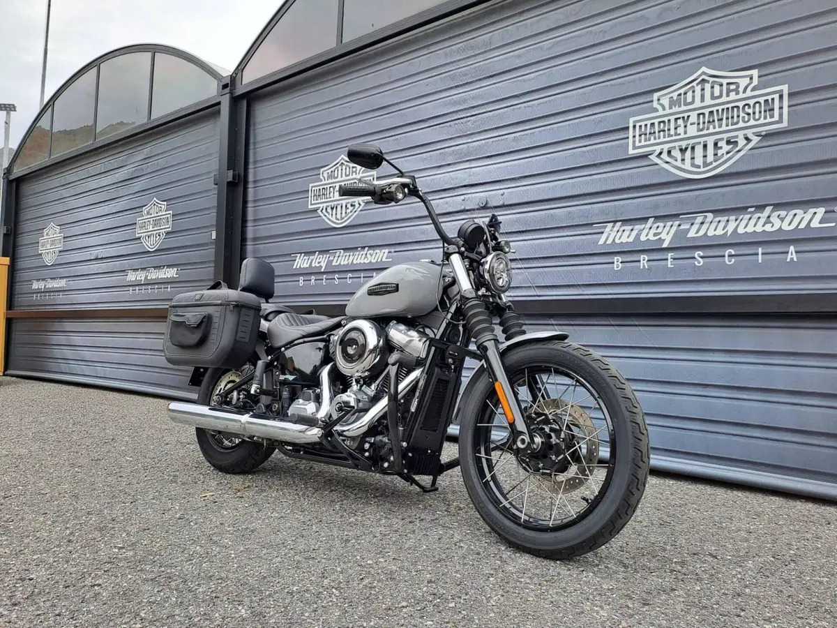 Harley-Davidson Street Bob 117 (2025 - 26) (2)