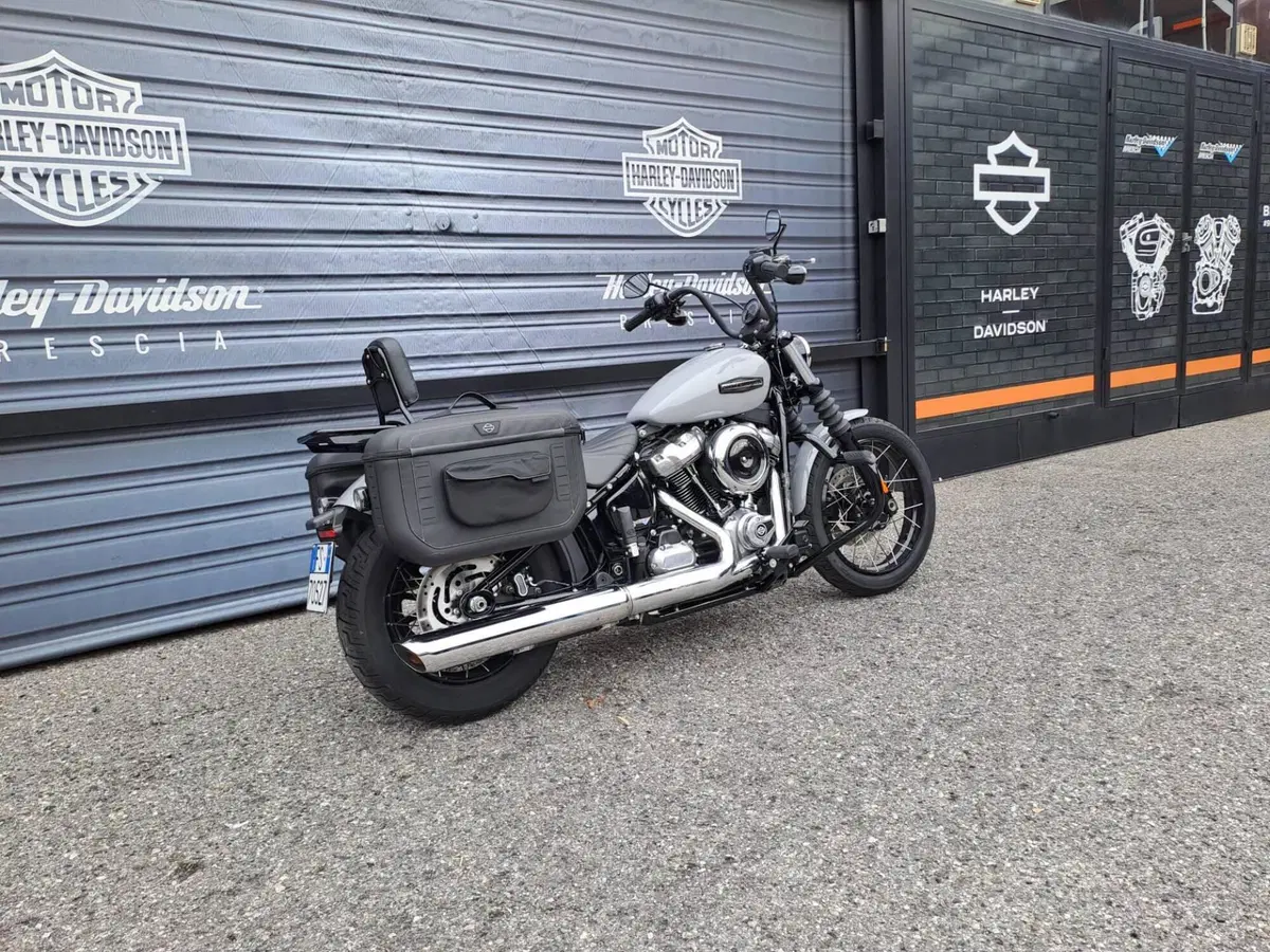 Harley-Davidson Street Bob 117 (2025 - 26) (3)