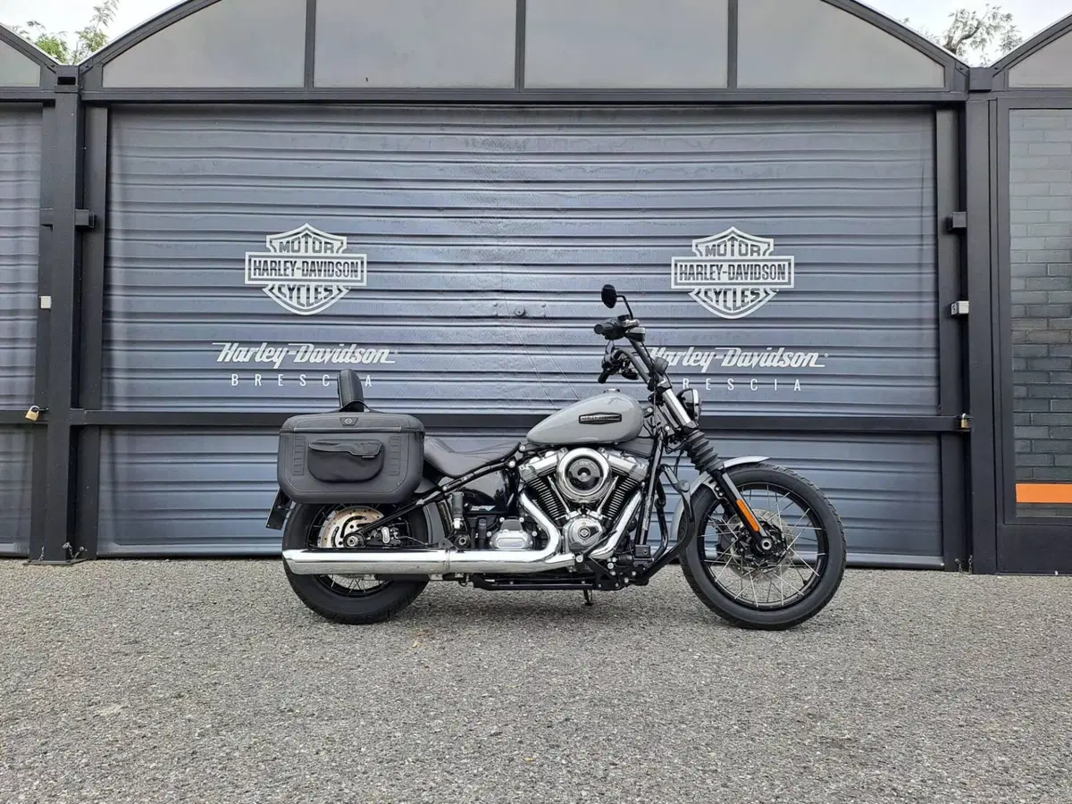Harley-Davidson Street Bob 117 (2025 - 26)