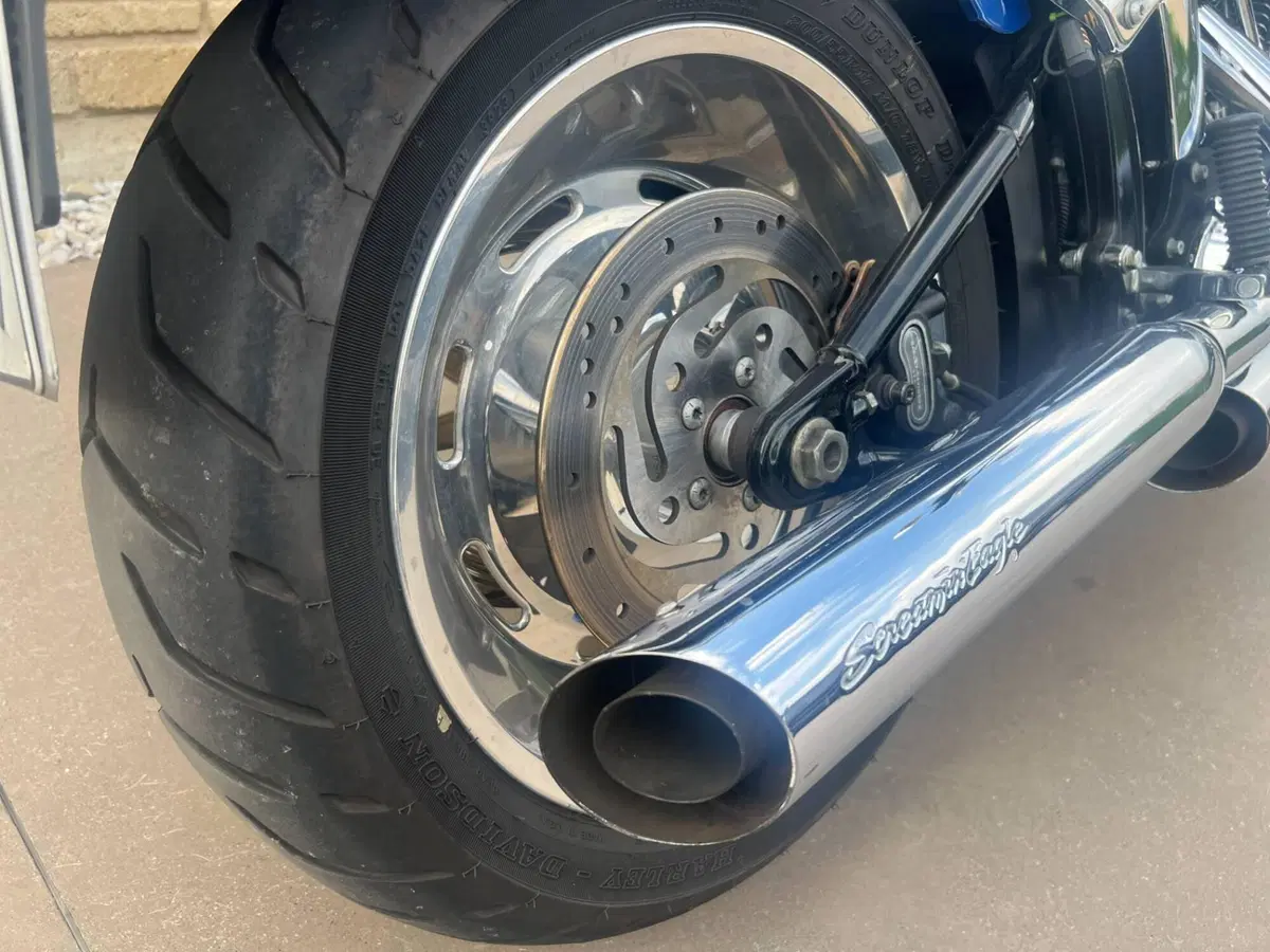 Harley-Davidson 1584 Custom (2008 - 09) - FXSTC (6)