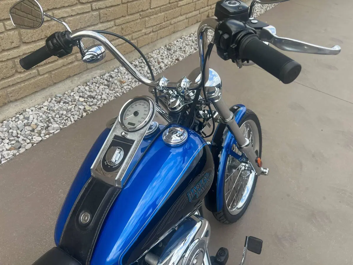 Harley-Davidson 1584 Custom (2008 - 09) - FXSTC (7)