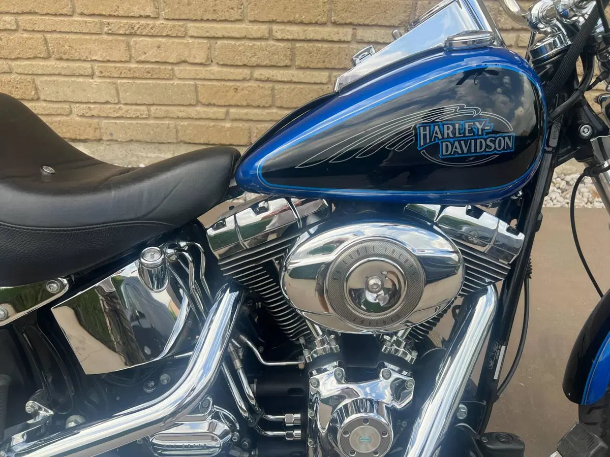 Harley-Davidson 1584 Custom (2008 - 09) - FXSTC (8)