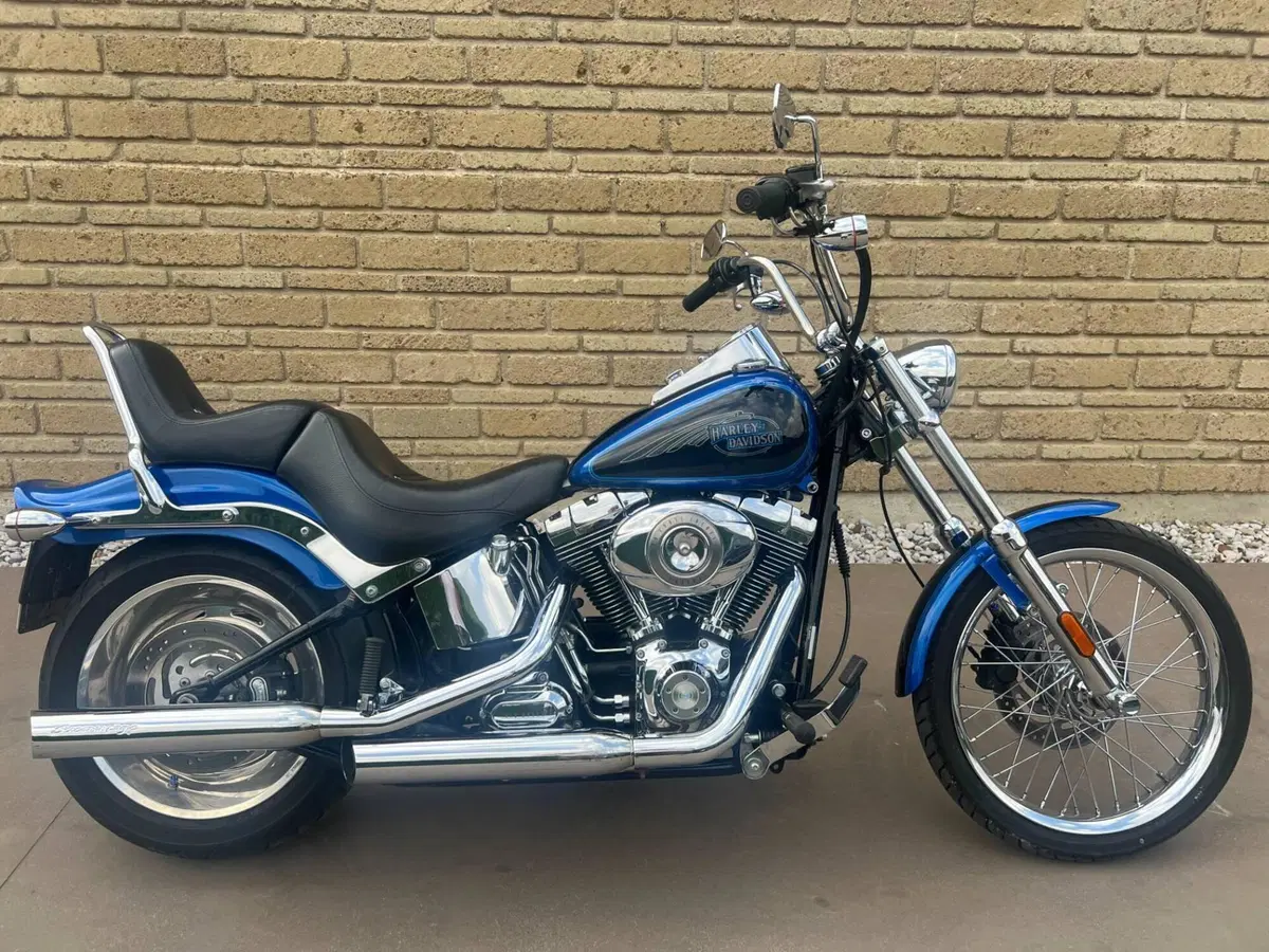 Harley-Davidson 1584 Custom (2008 - 09) - FXSTC (2)