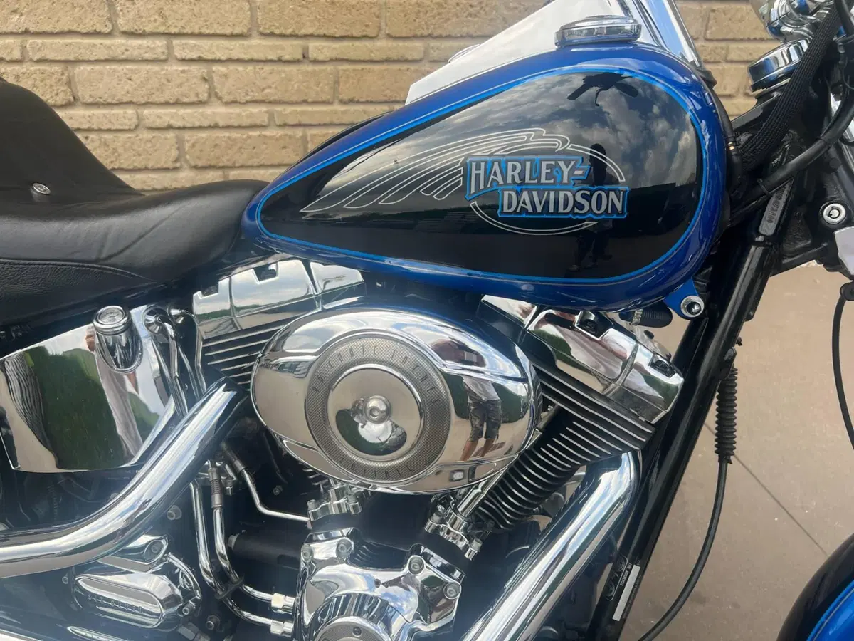 Harley-Davidson 1584 Custom (2008 - 09) - FXSTC (10)