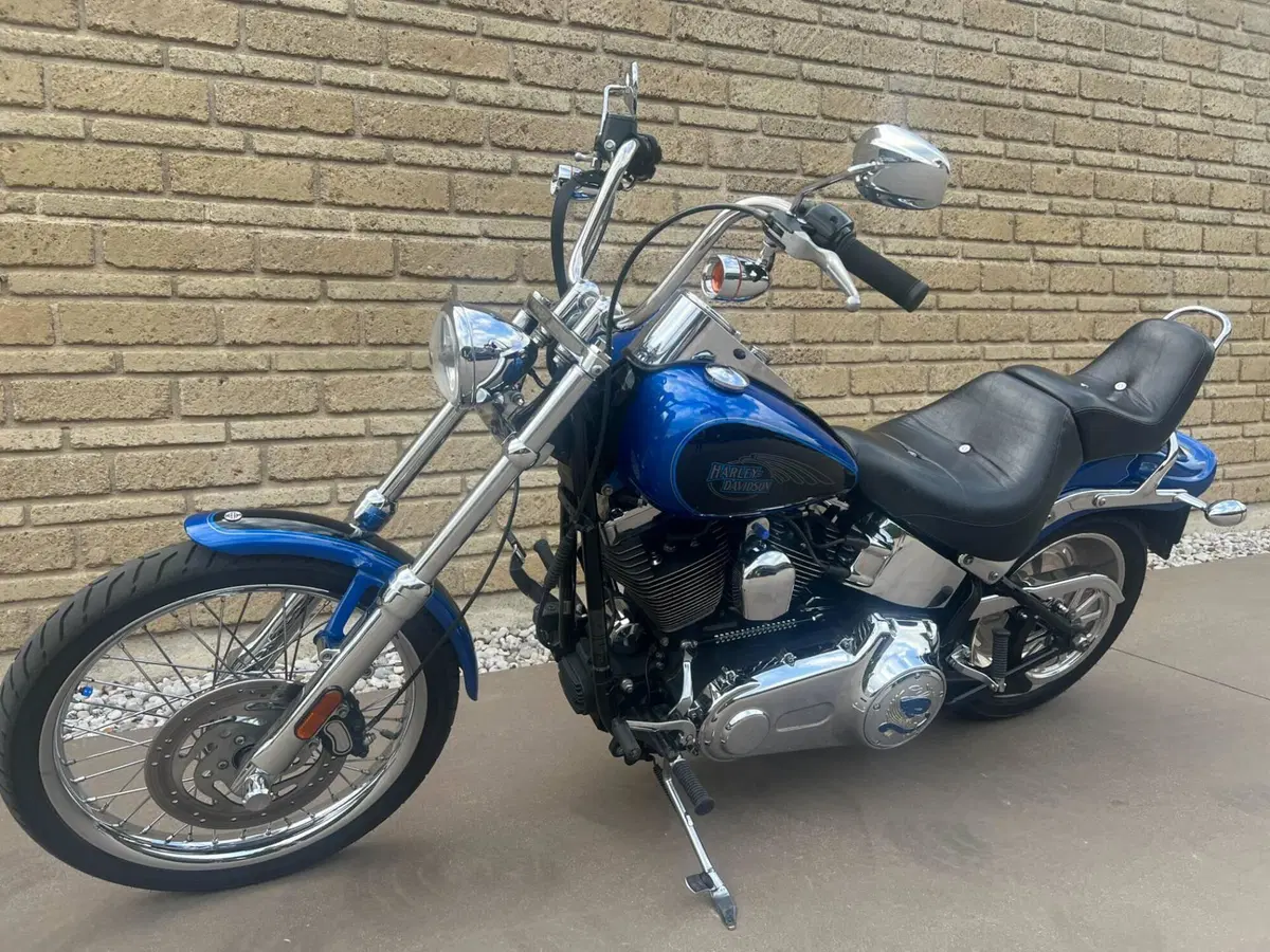 Harley-Davidson 1584 Custom (2008 - 09) - FXSTC (4)