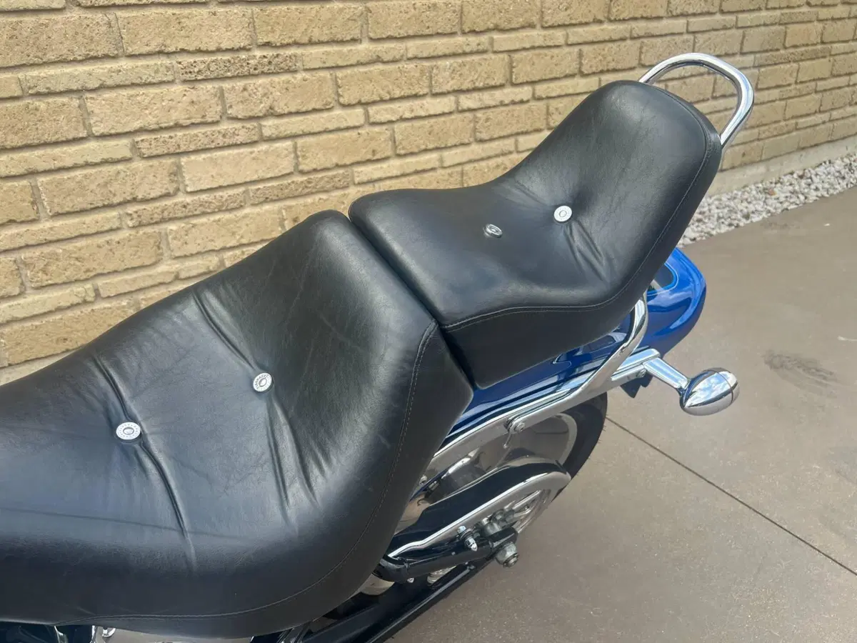 Harley-Davidson 1584 Custom (2008 - 09) - FXSTC (11)