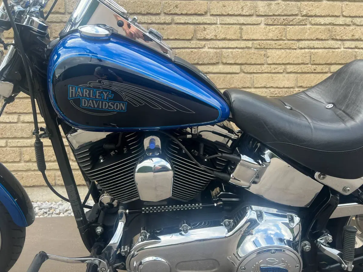 Harley-Davidson 1584 Custom (2008 - 09) - FXSTC (12)