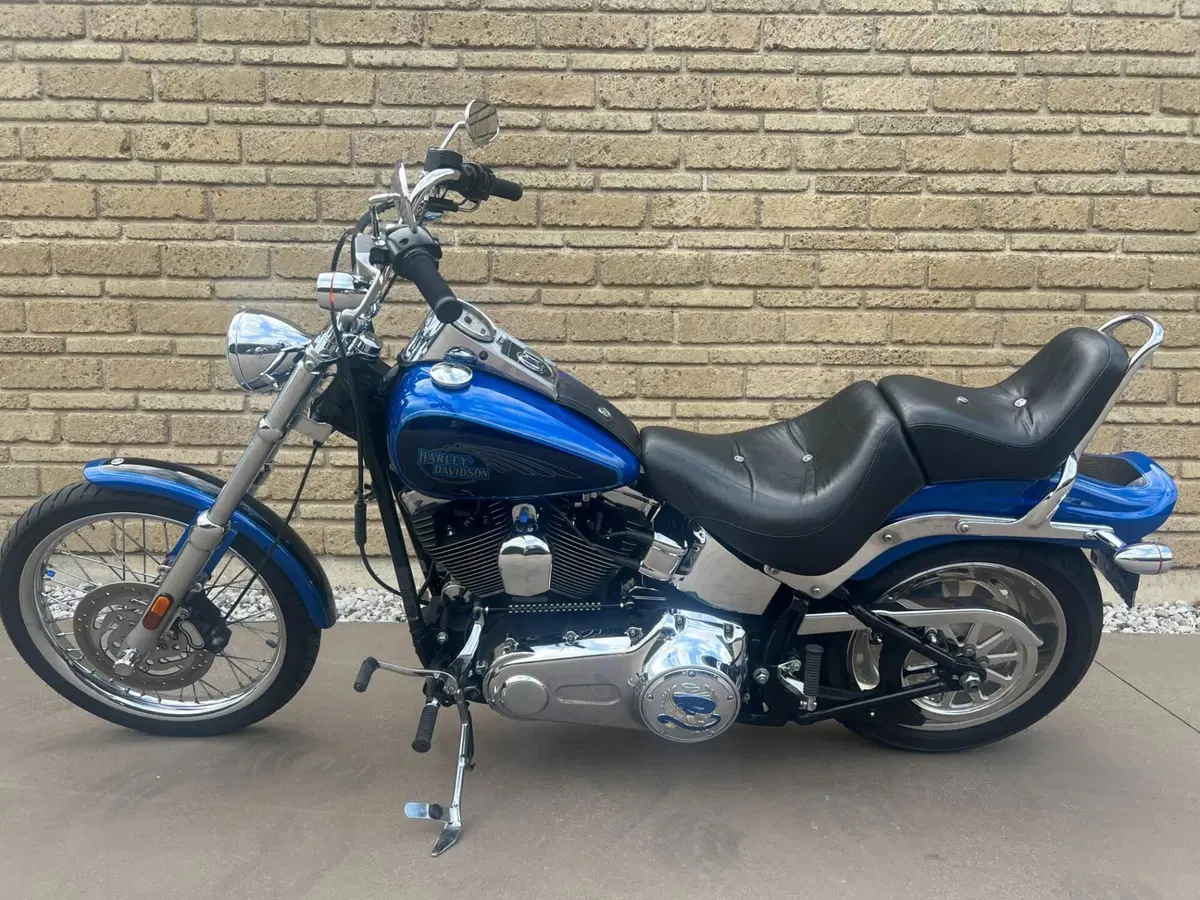 Harley-Davidson 1584 Custom (2008 - 09) - FXSTC (3)