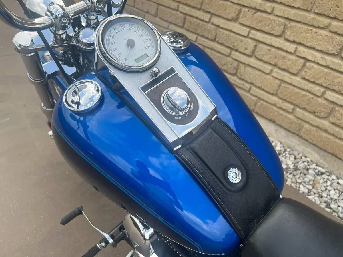Harley-Davidson 1584 Custom (2008 - 09) - FXSTC (13)