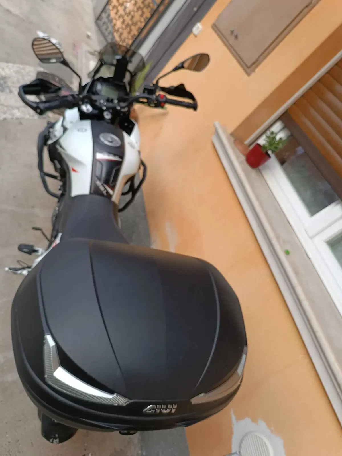 Benelli TRK 251 (2019 - 20) (3)