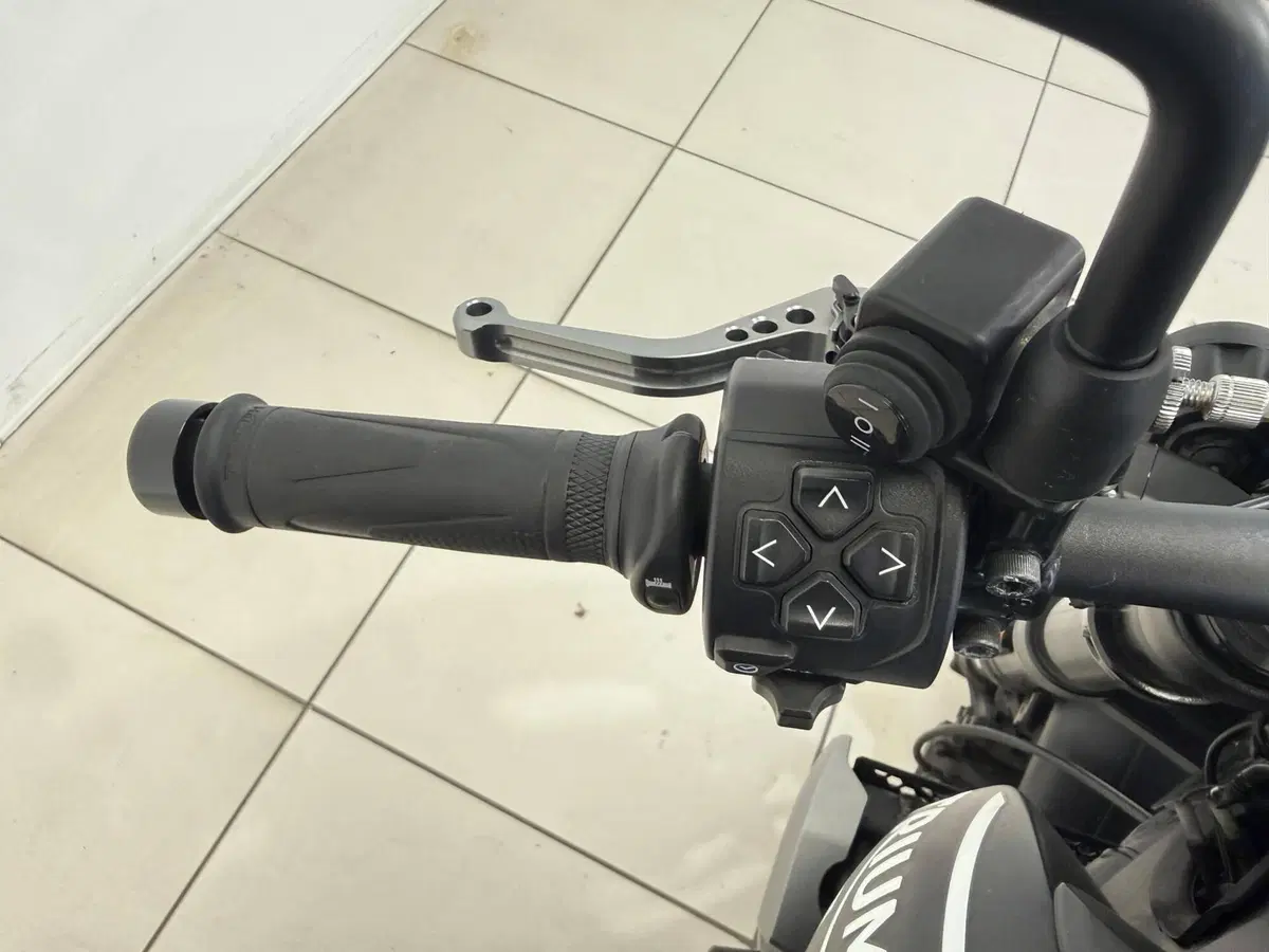 Triumph Trident 660 (2021 - 24) (11)