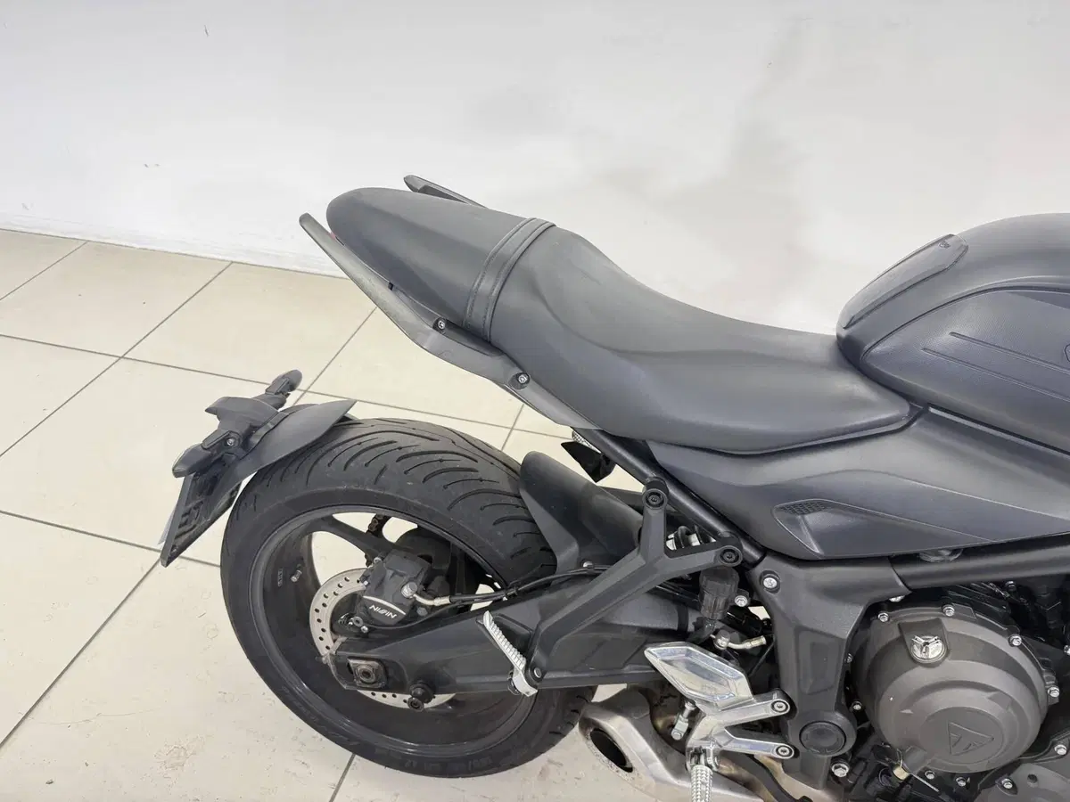 Triumph Trident 660 (2021 - 24) (17)