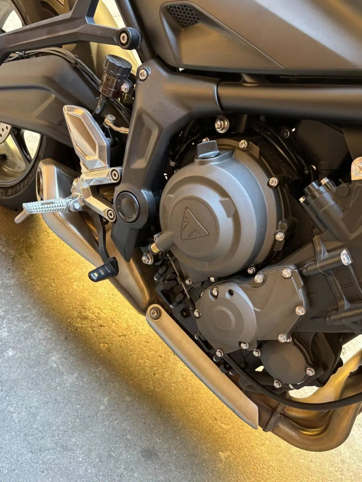Triumph Trident 660 (2021 - 24) (2)