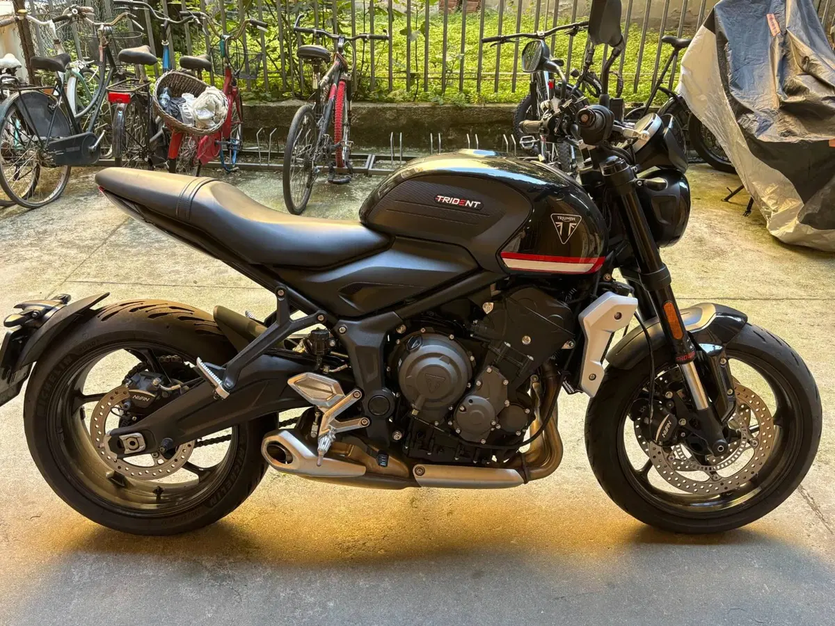 Triumph Trident 660 (2021 - 24) (7)