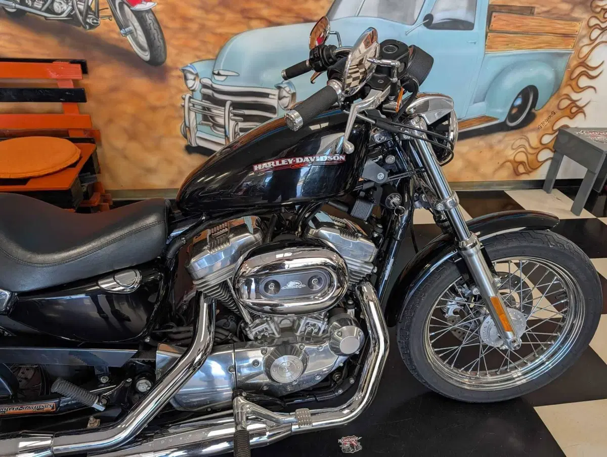 Harley-Davidson 883 (2006 - 07) - XL (2)