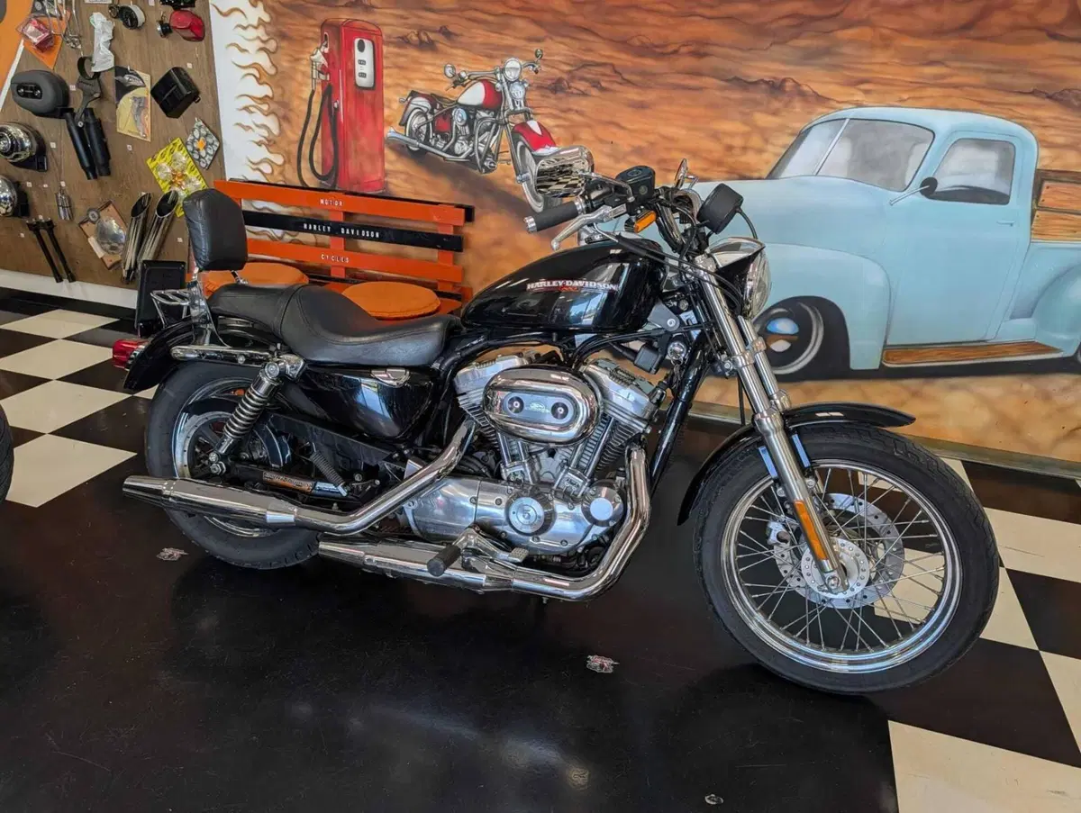 Harley-Davidson 883 (2006 - 07) - XL (3)
