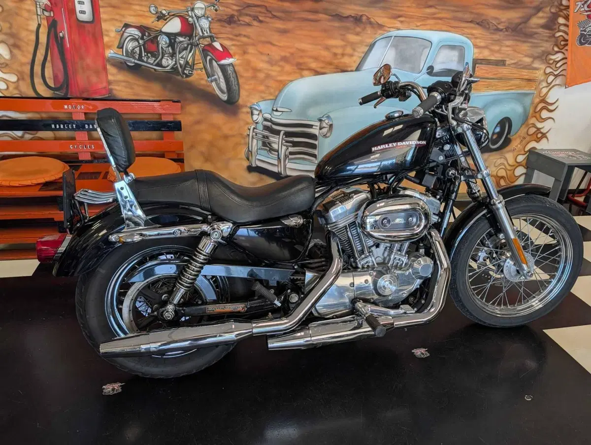 Harley-Davidson 883 (2006 - 07) - XL (5)