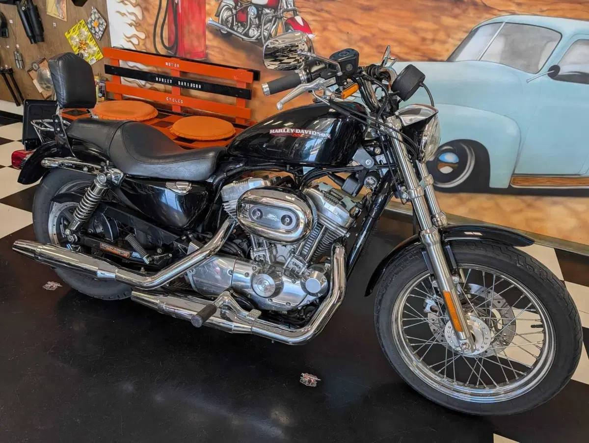 Harley-Davidson 883 (2006 - 07) - XL (6)