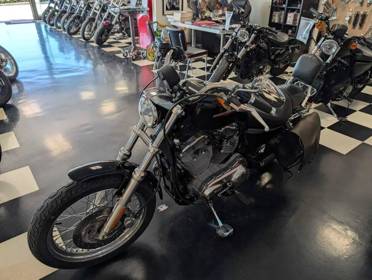 Harley-Davidson 883 (2006 - 07) - XL (8)