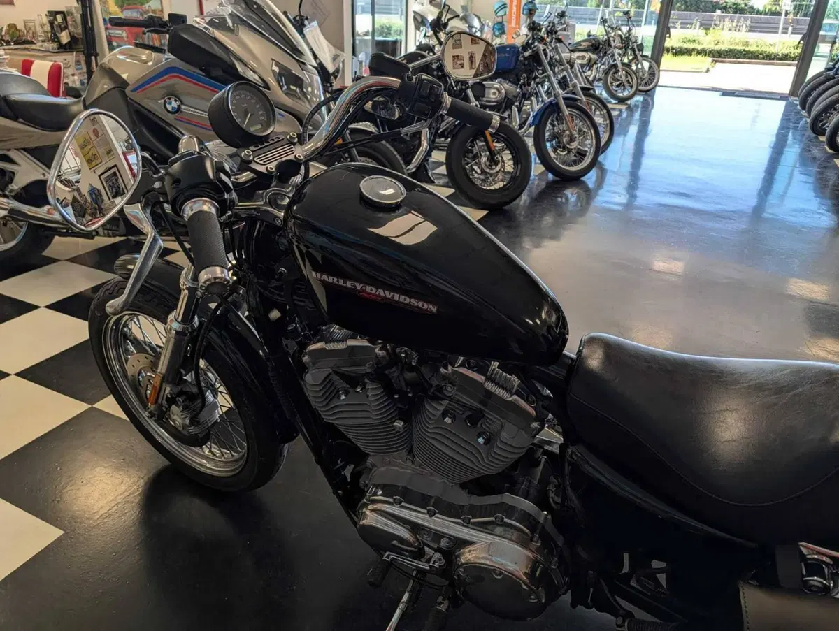 Harley-Davidson 883 (2006 - 07) - XL (10)