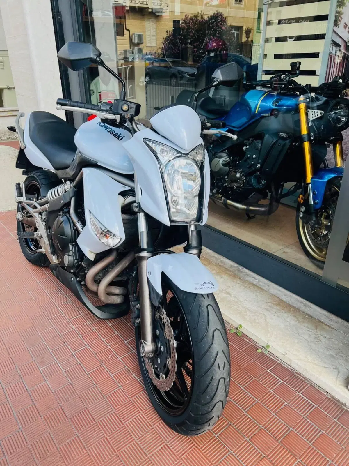 Kawasaki ER-6N (2009 - 11) (4)