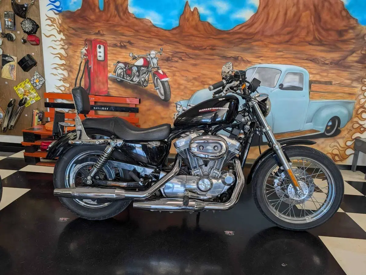 Harley-Davidson 883 (2006 - 07) - XL (11)