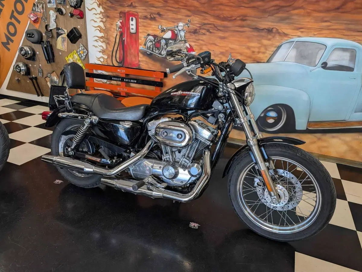 Harley-Davidson 883 (2006 - 07) - XL (12)