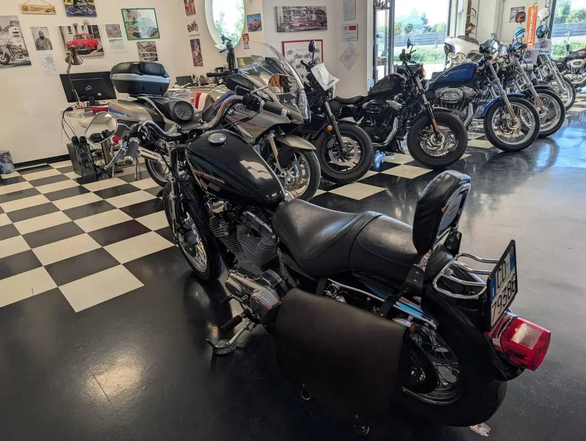 Harley-Davidson 883 (2006 - 07) - XL (13)