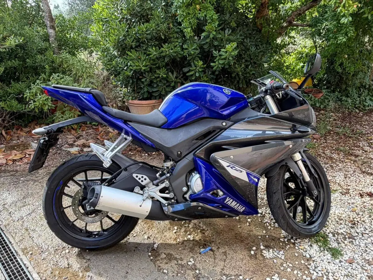 Yamaha YZF R125 (2014 - 16) (7)