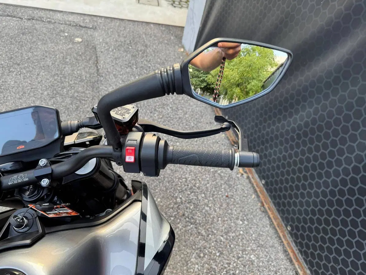 KTM 790 Duke (2018 - 20) (17)