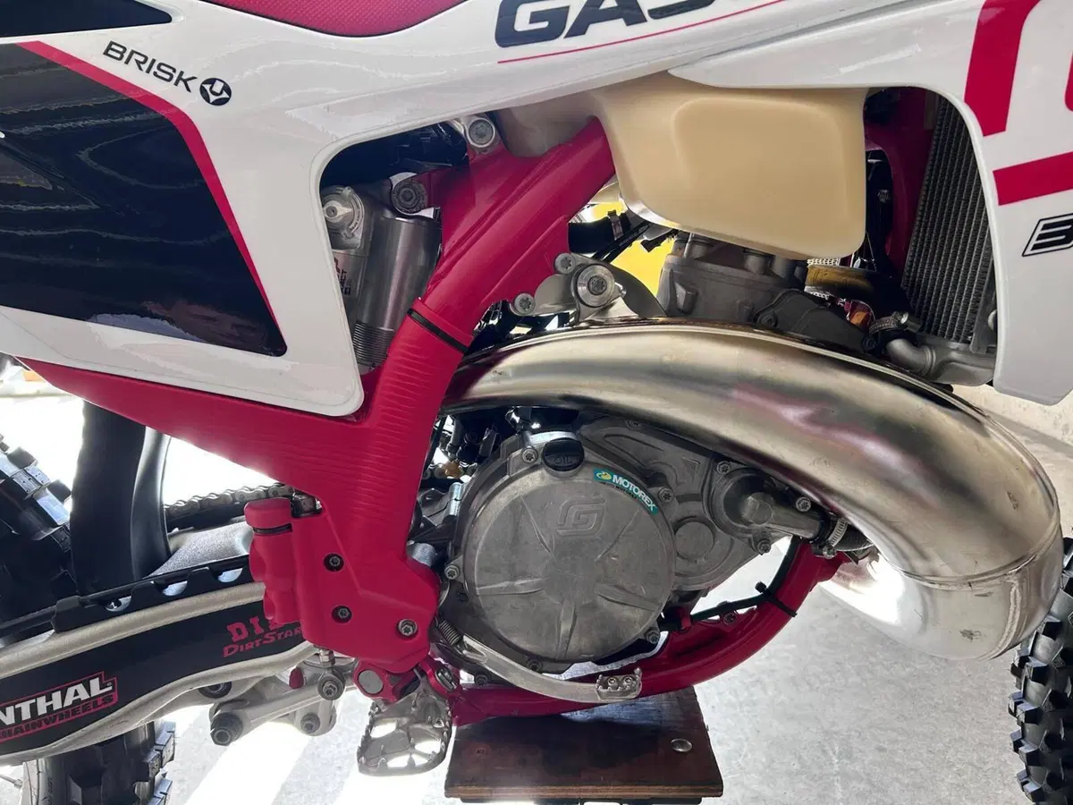 GASGAS EC 300 (2024) (5)