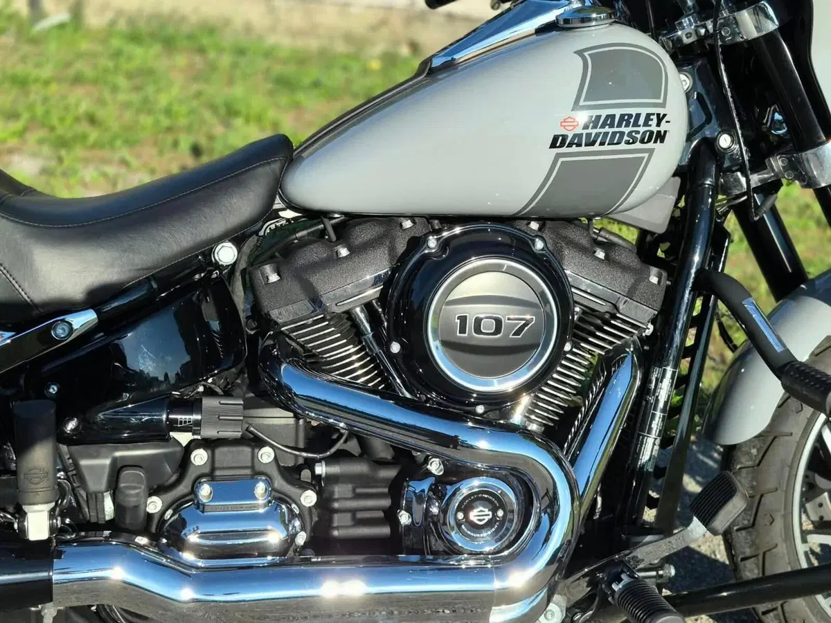 Harley-Davidson Sport Glide (2021 - 25) (6)