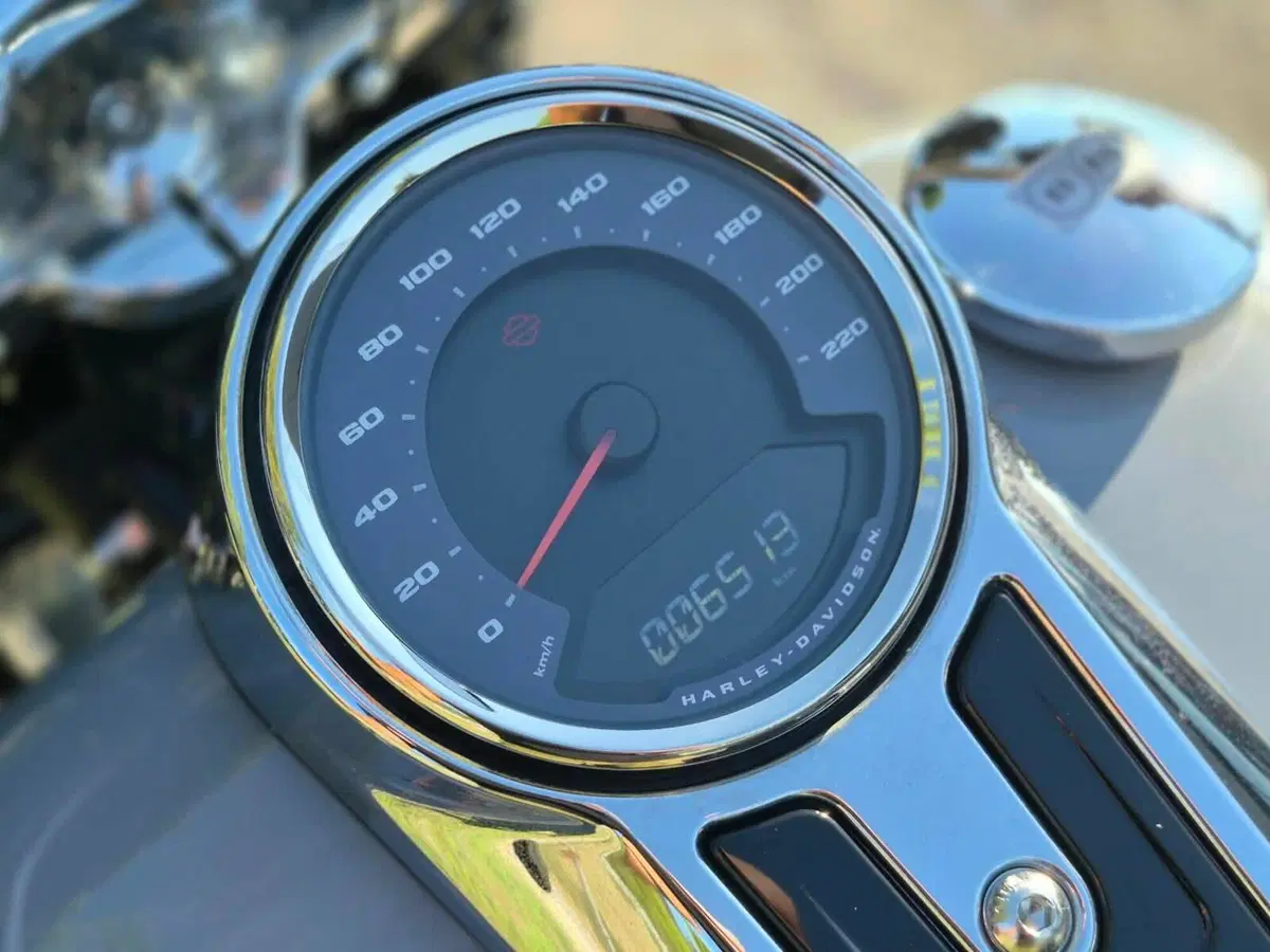 Harley-Davidson Sport Glide (2021 - 25) (7)