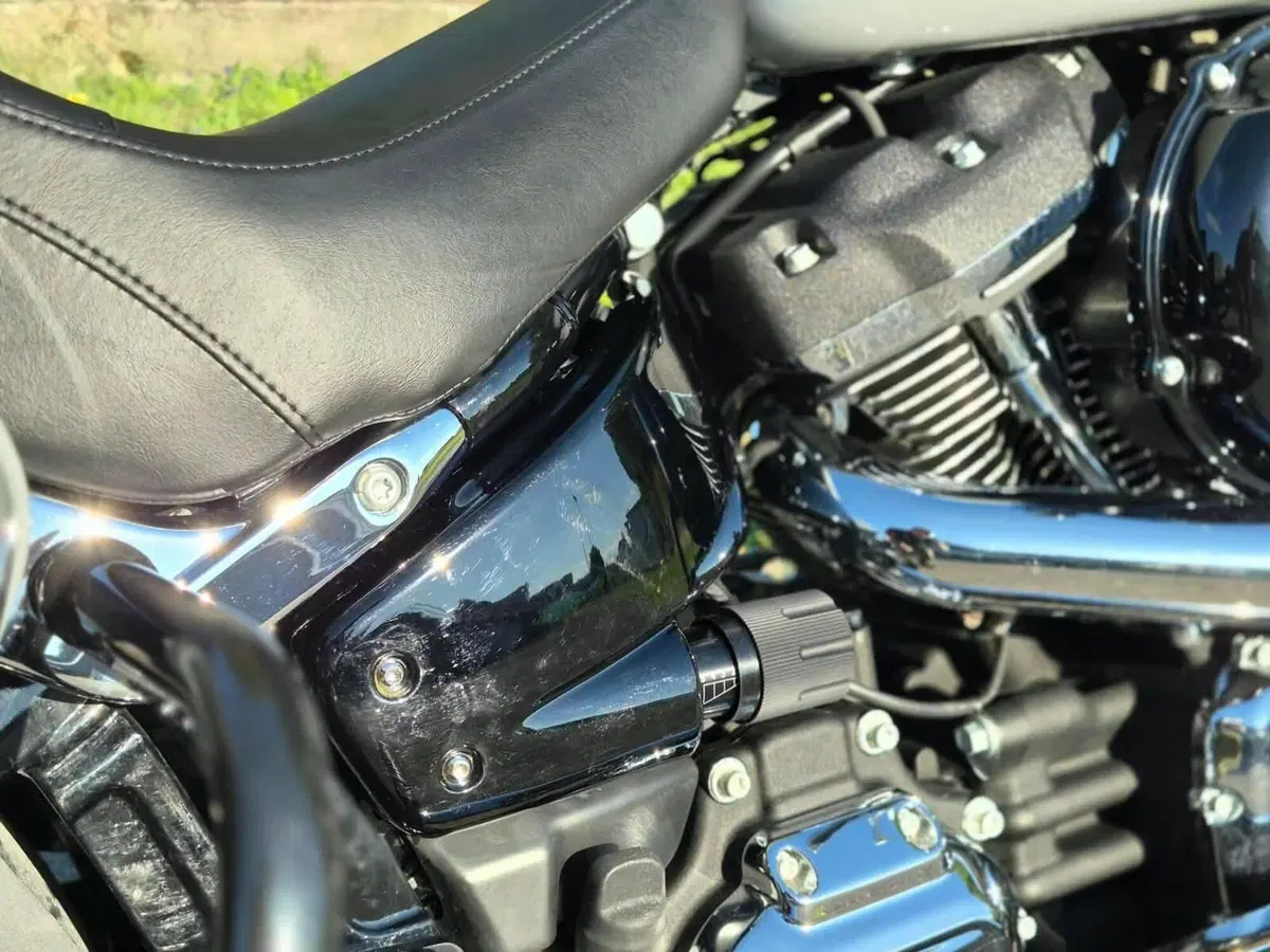 Harley-Davidson Sport Glide (2021 - 25) (8)